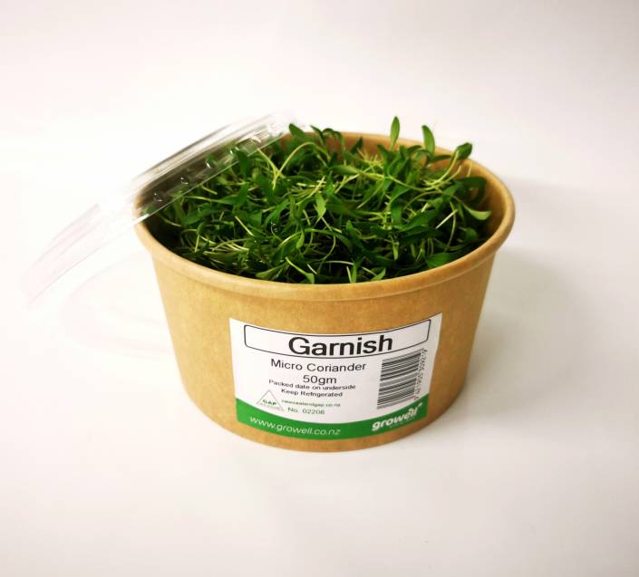 Micro Greens - 50gm Cut Coriander Pottle