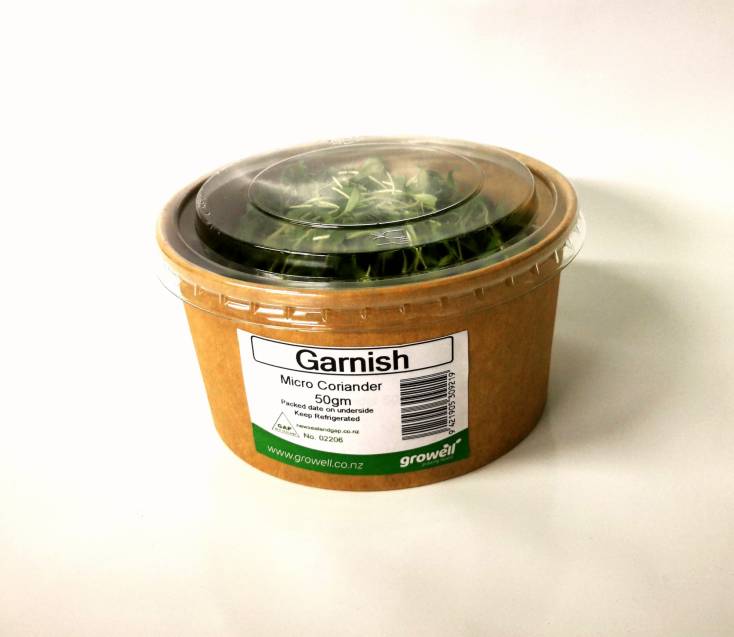 Micro Greens - 50gm Cut Coriander Pottle