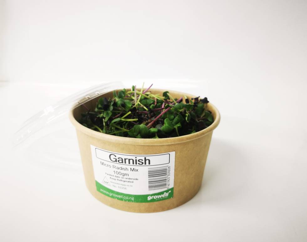 Micro Greens - 100gm Cut Pottle