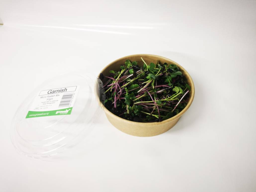Micro Greens - 50gm Cut Pottle