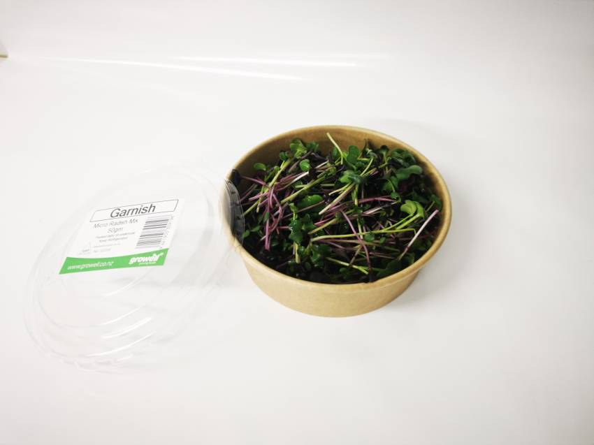 Micro Greens - 50gm Cut Pottle