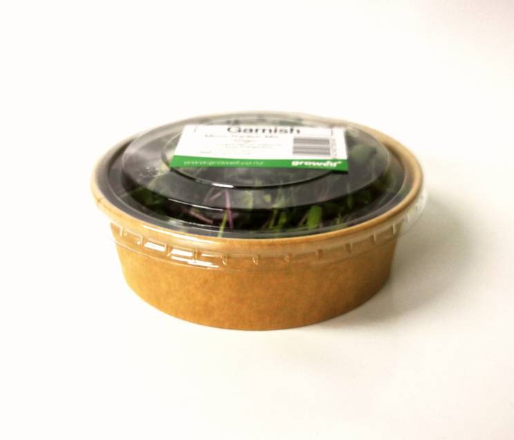 Micro Greens - 50gm Cut Pottle
