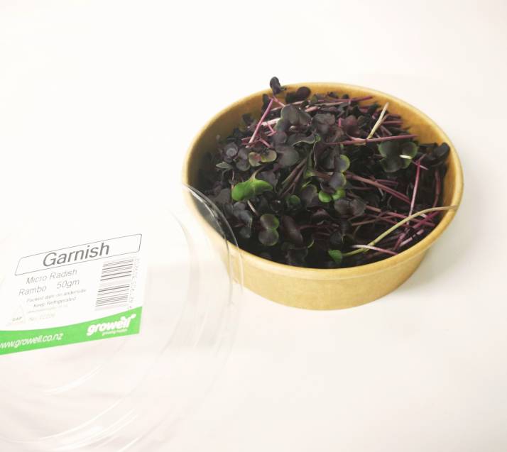 Micro Greens - 50gm Rambo Radish Cut Pottle